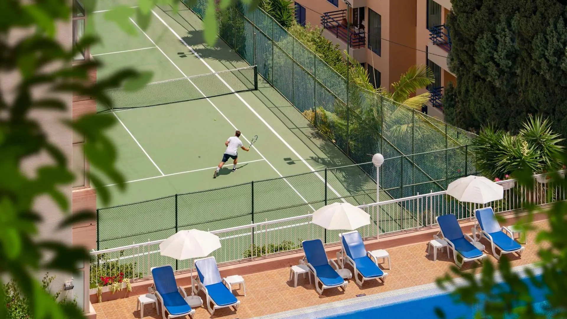 Dorisol Mimosa Studio Hotel فونشال