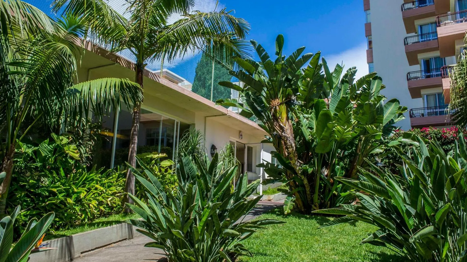 Dorisol Mimosa Studio Hotel فونشال